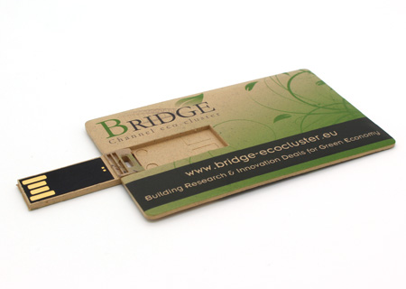 Cle USB Carte Bio 